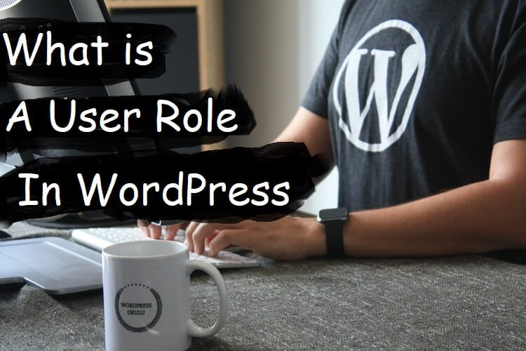 What is a User Role in Wordpress