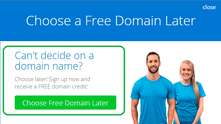 choose free domain later