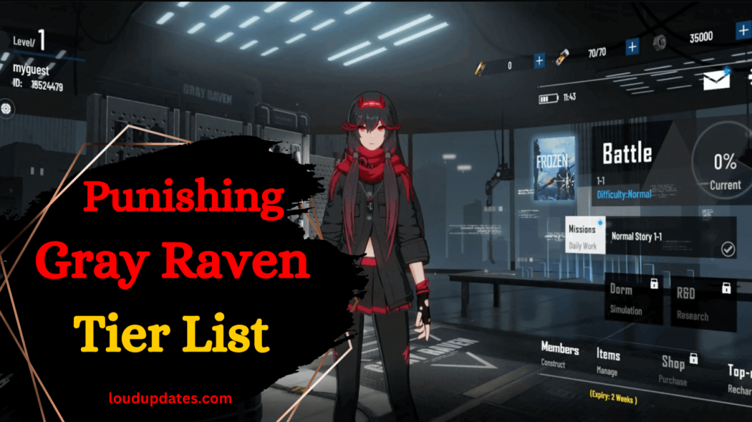 Punishing Gray Raven Tier List