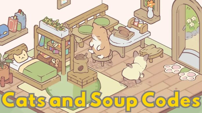 cats and soup codes